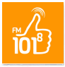 Радио 101,8 FM