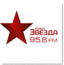 Радио Звезда лого